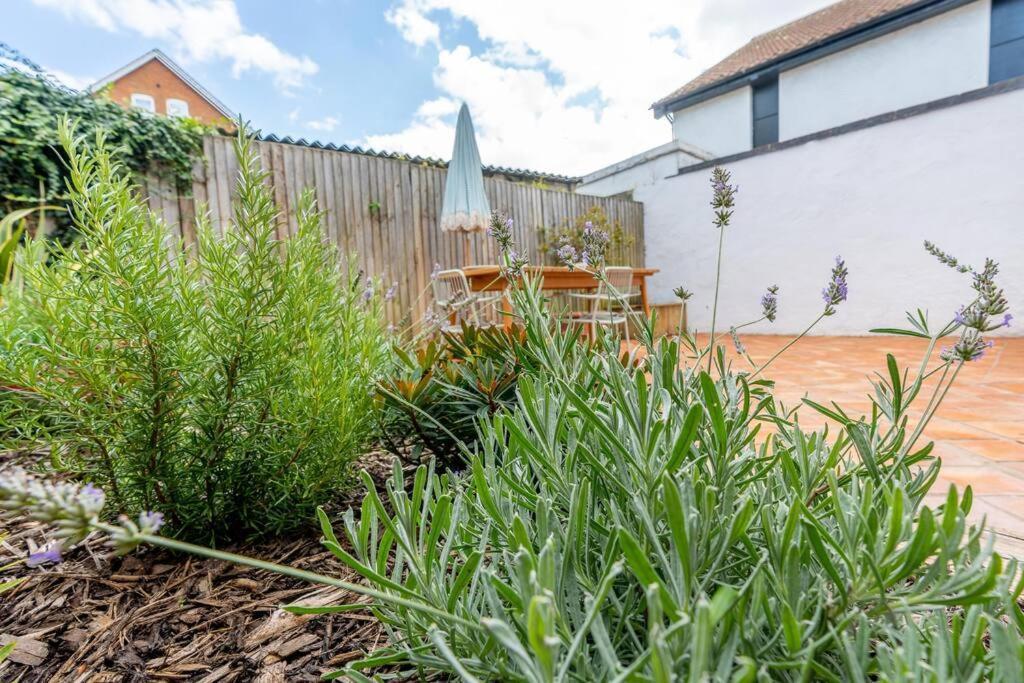 Gorgeous Garden *cafes/bars/beach Within Minutes* Apartment